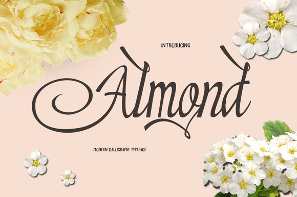 Almond: A Brush Script Font for Creatives