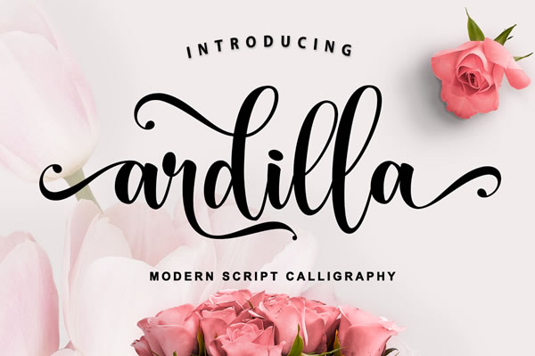 Ardilla Font: A Handwritten Script with Classic Calligraphy Charm