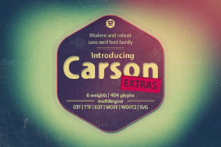 Exploring the Expressive Language of Carson and Its Distorted Handwritten Variants