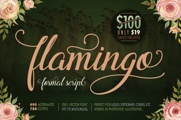 Flamingo: A Handcrafted Font with Extensive Glyph Variety